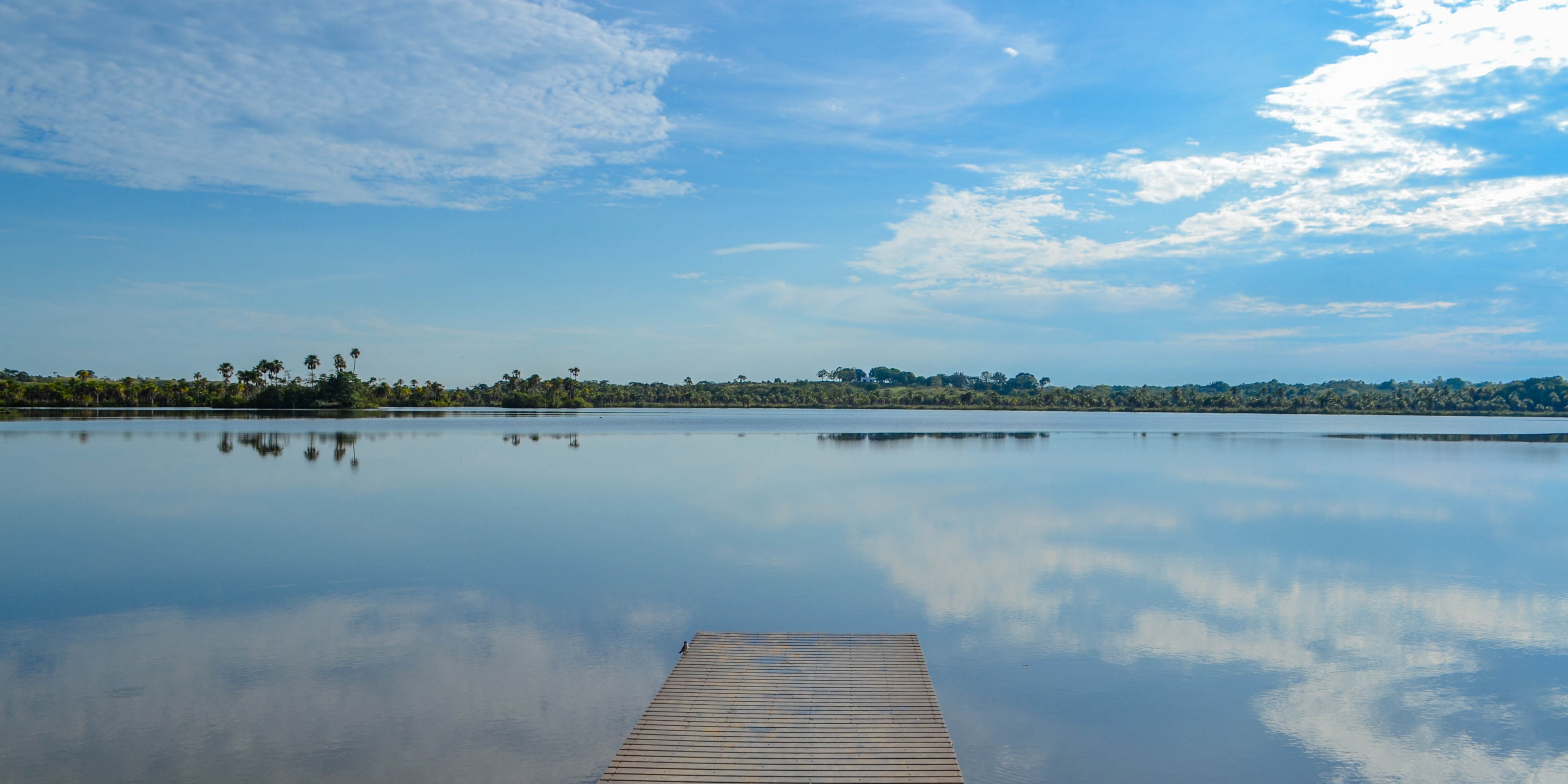 Loma Linda Living - How It Made The Blue Zones List | Assuaged